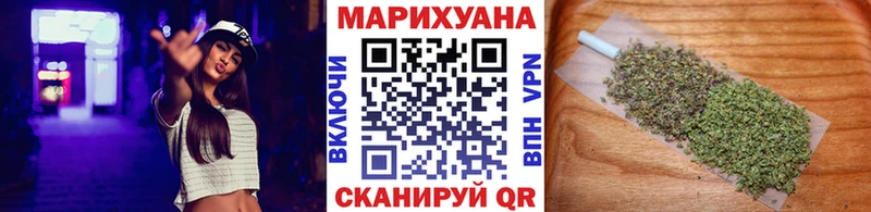 APVP Электрогорск