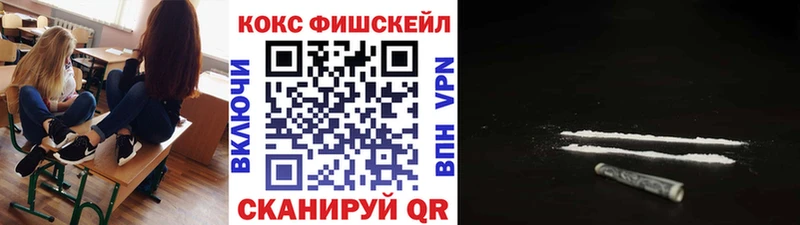 продажа наркотиков  Электрогорск  Cocaine Fish Scale 