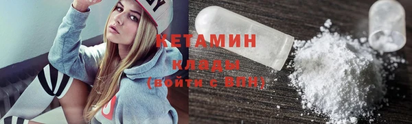 шишки Новодвинск