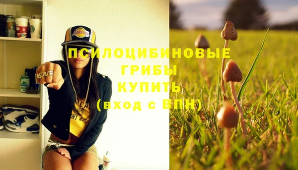 каннабис Новокубанск