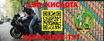 СК Гусев